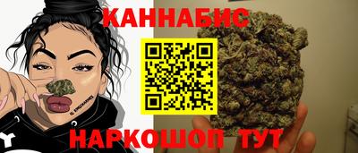 прущие грибы Дубна