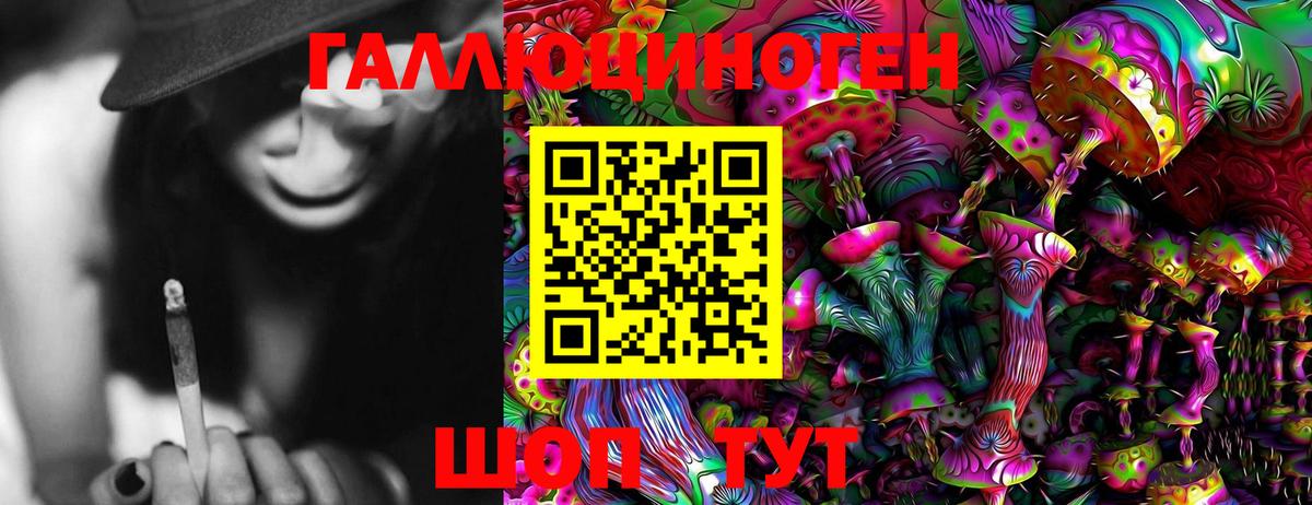 Галлюциногенные грибы Psilocybe  Вход с VPN  Псилоцибиновые грибы MAGIC MUSHROOMS  Малгобек 
